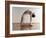 Yoga, Artwork-SCIEPRO-Framed Photographic Print