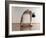 Yoga, Artwork-SCIEPRO-Framed Photographic Print