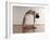 Yoga, Artwork-SCIEPRO-Framed Photographic Print