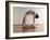 Yoga, Artwork-SCIEPRO-Framed Photographic Print