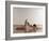 Yoga, Artwork-SCIEPRO-Framed Photographic Print