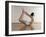 Yoga, Artwork-SCIEPRO-Framed Photographic Print