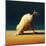 Yoga Chick Downward Dog Split-Lucia Heffernan-Mounted Art Print