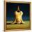 Yoga Chick Lotus Headstand-Lucia Heffernan-Framed Stretched Canvas