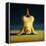 Yoga Chick Lotus Headstand-Lucia Heffernan-Framed Stretched Canvas