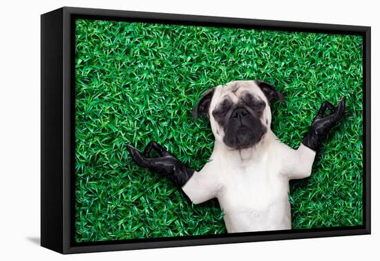 Yoga Dog-Javier Brosch-Framed Premier Image Canvas