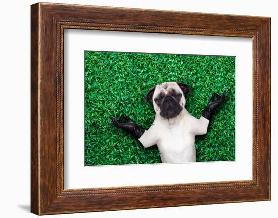 Yoga Dog-Javier Brosch-Framed Photographic Print