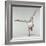 Yoga Pose-Tony McConnell-Framed Premium Photographic Print