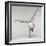 Yoga Pose-Tony McConnell-Framed Premium Photographic Print