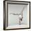 Yoga Pose-Tony McConnell-Framed Premium Photographic Print