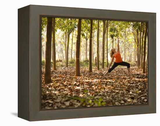 Yoga Practice Among a Rubber Tree Plantation in Chiang Dao, Thaialand-Dan Holz-Framed Premier Image Canvas