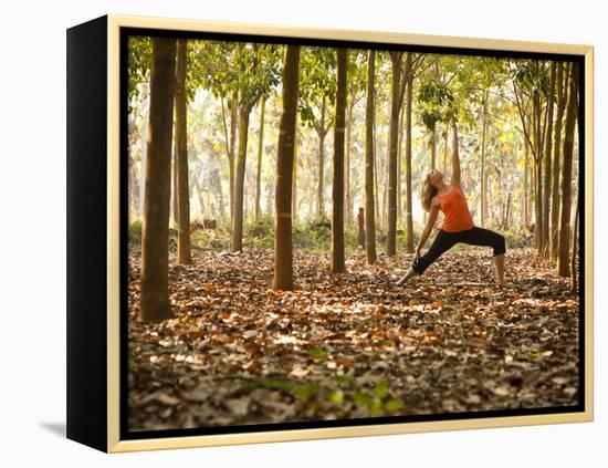 Yoga Practice Among a Rubber Tree Plantation in Chiang Dao, Thaialand-Dan Holz-Framed Premier Image Canvas