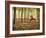 Yoga Practice Among a Rubber Tree Plantation in Chiang Dao, Thaialand-Dan Holz-Framed Photographic Print