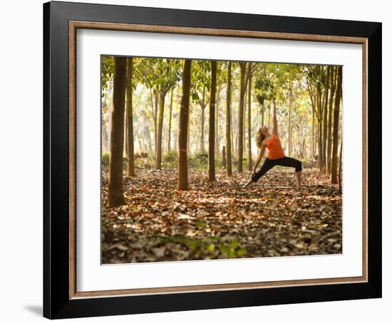 Yoga Practice Among a Rubber Tree Plantation in Chiang Dao, Thaialand-Dan Holz-Framed Photographic Print