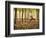 Yoga Practice Among a Rubber Tree Plantation in Chiang Dao, Thaialand-Dan Holz-Framed Photographic Print