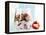 Yoghurt with Muesli and Strawberries-Dieter Heinemann-Framed Premier Image Canvas