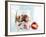 Yoghurt with Muesli and Strawberries-Dieter Heinemann-Framed Photographic Print