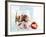 Yoghurt with Muesli and Strawberries-Dieter Heinemann-Framed Photographic Print