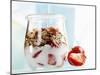 Yoghurt with Muesli and Strawberries-Dieter Heinemann-Mounted Photographic Print