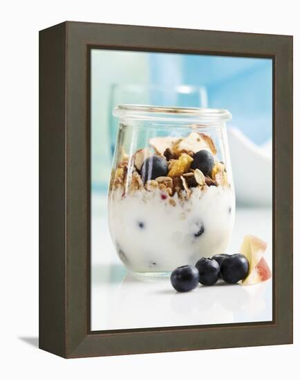 Yoghurt with Muesli, Blueberries, Apple and Dried Fruit-Dieter Heinemann-Framed Premier Image Canvas