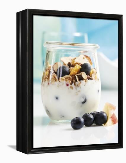 Yoghurt with Muesli, Blueberries, Apple and Dried Fruit-Dieter Heinemann-Framed Premier Image Canvas