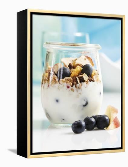 Yoghurt with Muesli, Blueberries, Apple and Dried Fruit-Dieter Heinemann-Framed Premier Image Canvas