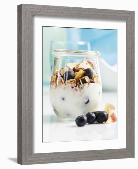 Yoghurt with Muesli, Blueberries, Apple and Dried Fruit-Dieter Heinemann-Framed Photographic Print