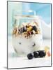 Yoghurt with Muesli, Blueberries, Apple and Dried Fruit-Dieter Heinemann-Mounted Photographic Print