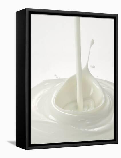 Yogurt Being Poured-Kröger & Gross-Framed Premier Image Canvas