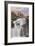 Yoho National Park Falls-Donald Paulson-Framed Giclee Print