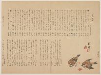 Sparrows and Plum Flowers, 1823-Yokoyama Kazan-Giclee Print