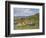 Yokuryuichi Pond, Shugakuin Imperial Villa, Kyoto, Japan-Rob Tilley-Framed Photographic Print