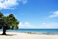 Mango Tree on the Beach on a Sunny Day, Chintheche Beach, Lake Malawi, Africa-Yolanda387-Framed Photographic Print