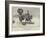 Yolande-William Heysham Overend-Framed Giclee Print