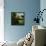 Yonder II-Jason Jarava-Framed Premier Image Canvas displayed on a wall