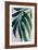 Yone leaves-Rosana Laiz Garcia-Framed Giclee Print