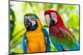 Premium Photographic Print