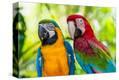 Stretched Canvas Print