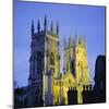 York Minster Floodlit, York, Yorkshire, England, UK, Europe-Roy Rainford-Mounted Photographic Print