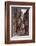 York Shambles-Ernest W Haslehust-Framed Photographic Print