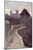 York Walls-Ernest W Haslehust-Mounted Art Print