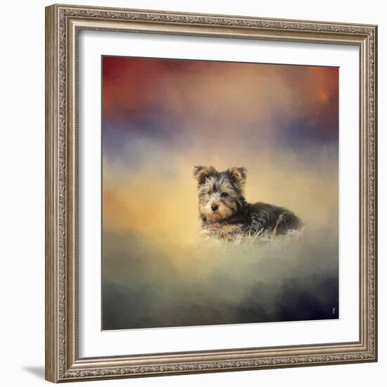 Yorkie Loving the Leaves-Jai Johnson-Framed Giclee Print