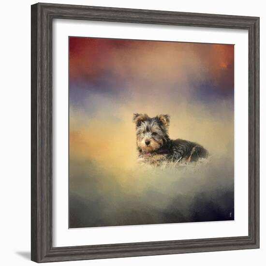 Yorkie Loving the Leaves-Jai Johnson-Framed Giclee Print