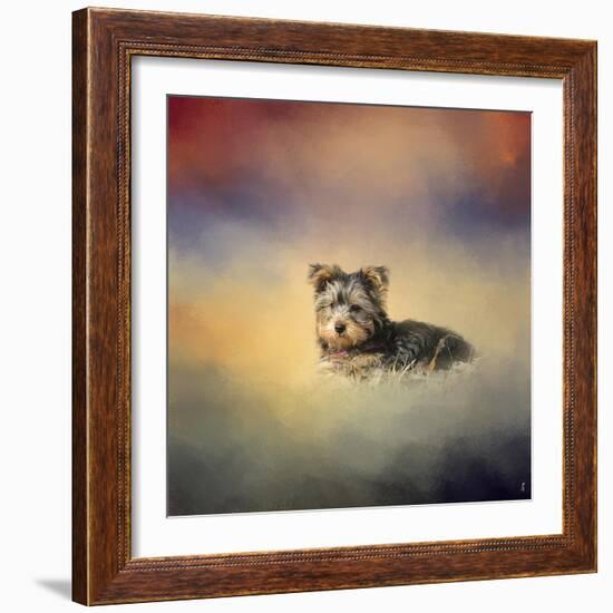 Yorkie Loving the Leaves-Jai Johnson-Framed Giclee Print