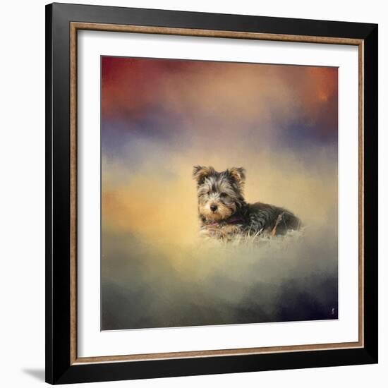 Yorkie Loving the Leaves-Jai Johnson-Framed Giclee Print