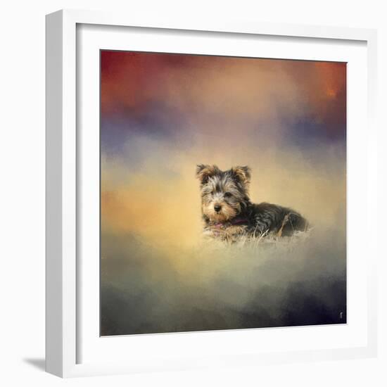 Yorkie Loving the Leaves-Jai Johnson-Framed Giclee Print