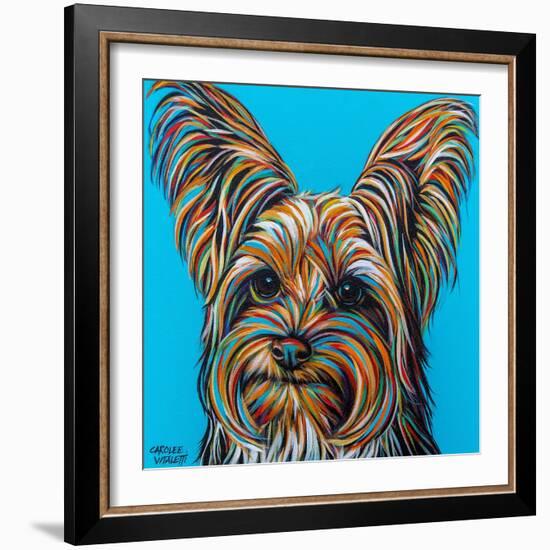 Yorkie on Blue-Carolee Vitaletti-Framed Art Print