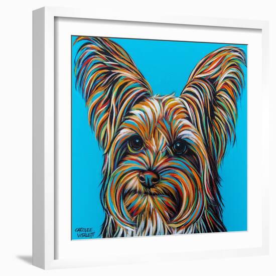 Yorkie on Blue-Carolee Vitaletti-Framed Art Print