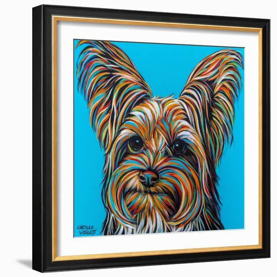 Yorkie on Blue-Carolee Vitaletti-Framed Art Print