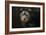 Yorkie Puppy-Jai Johnson-Framed Giclee Print